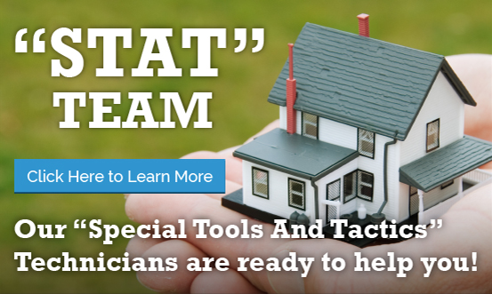 STAT Team - Special Tools and Tactics for Pest Control